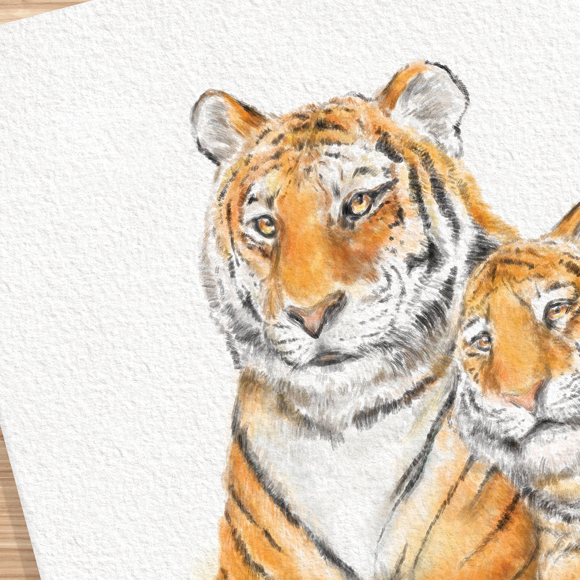 Illustration « Maman tigre et bébé »