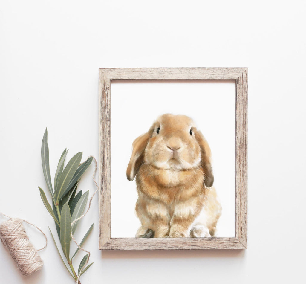 Estampe d'art Lapin bélier