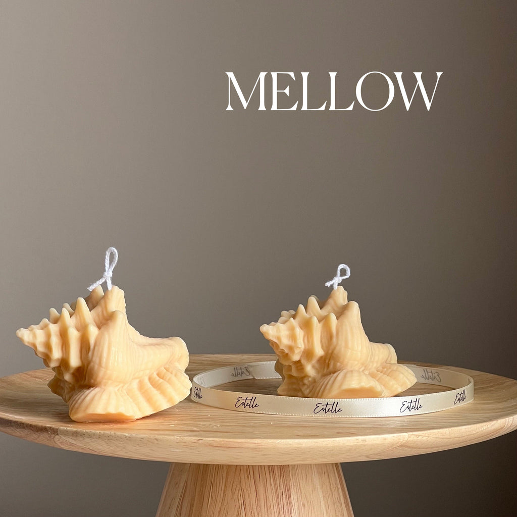 Clam Shell Soy Candle | Decorative Sea Shell