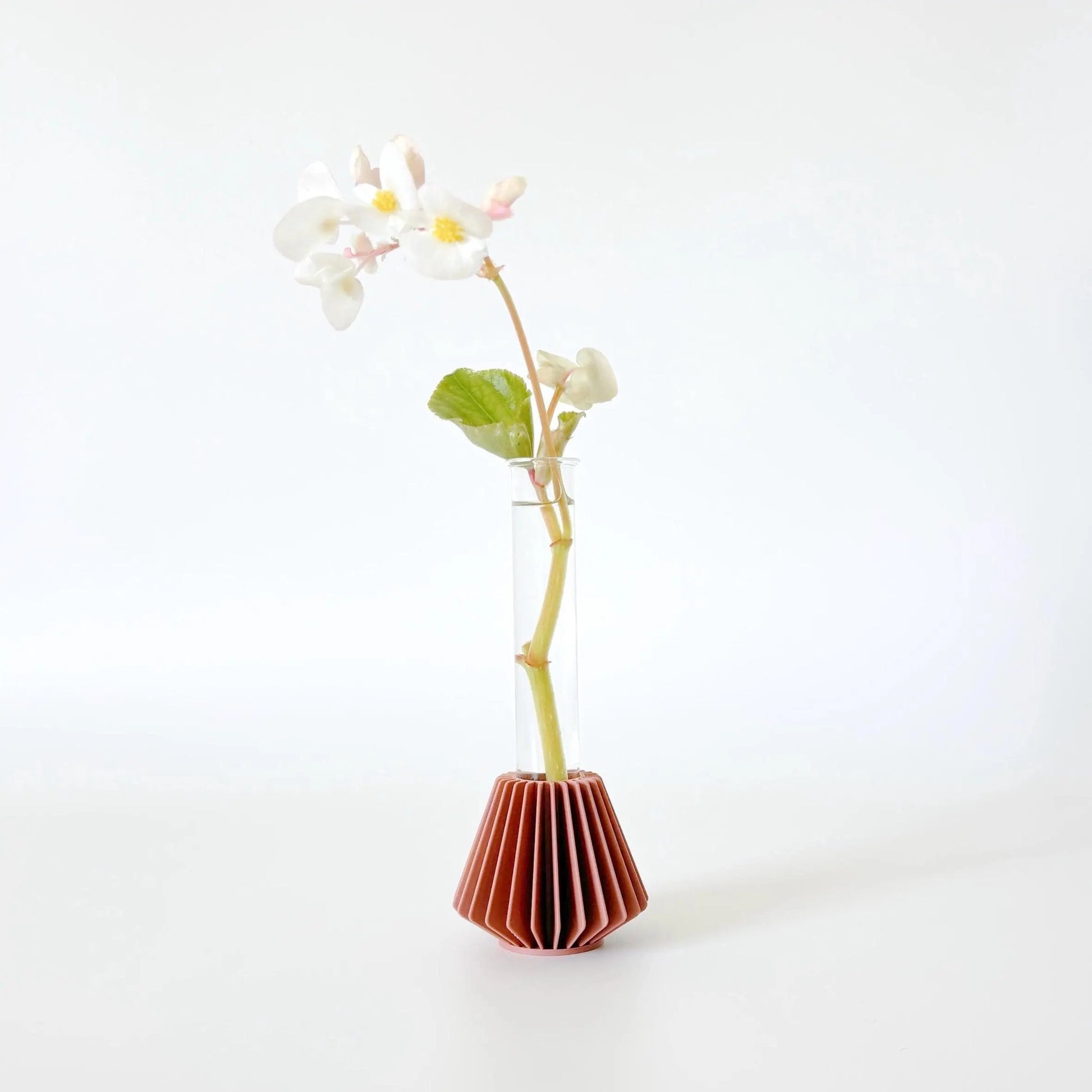 HANOK Mini Propagation Station