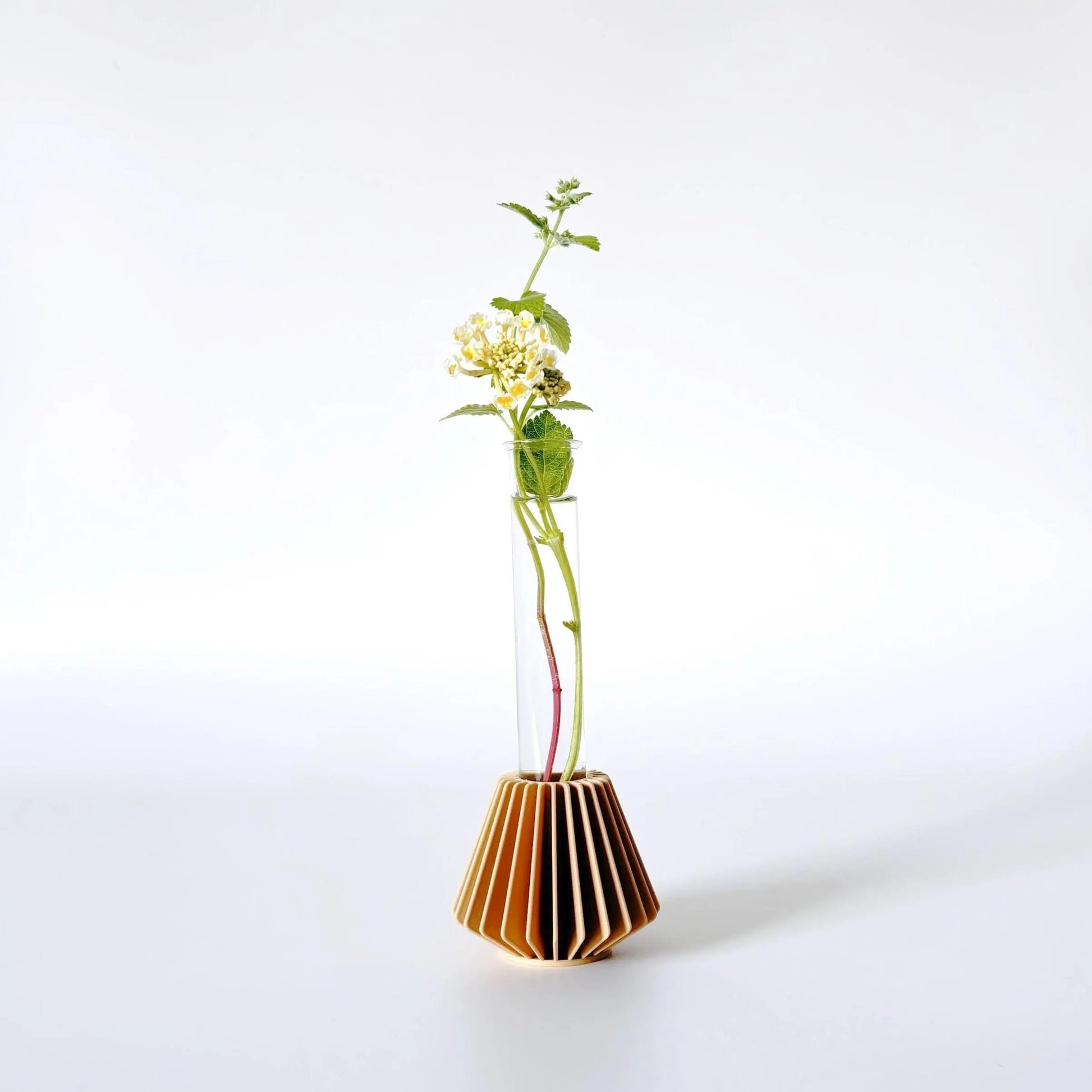 HANOK Mini Propagation Station
