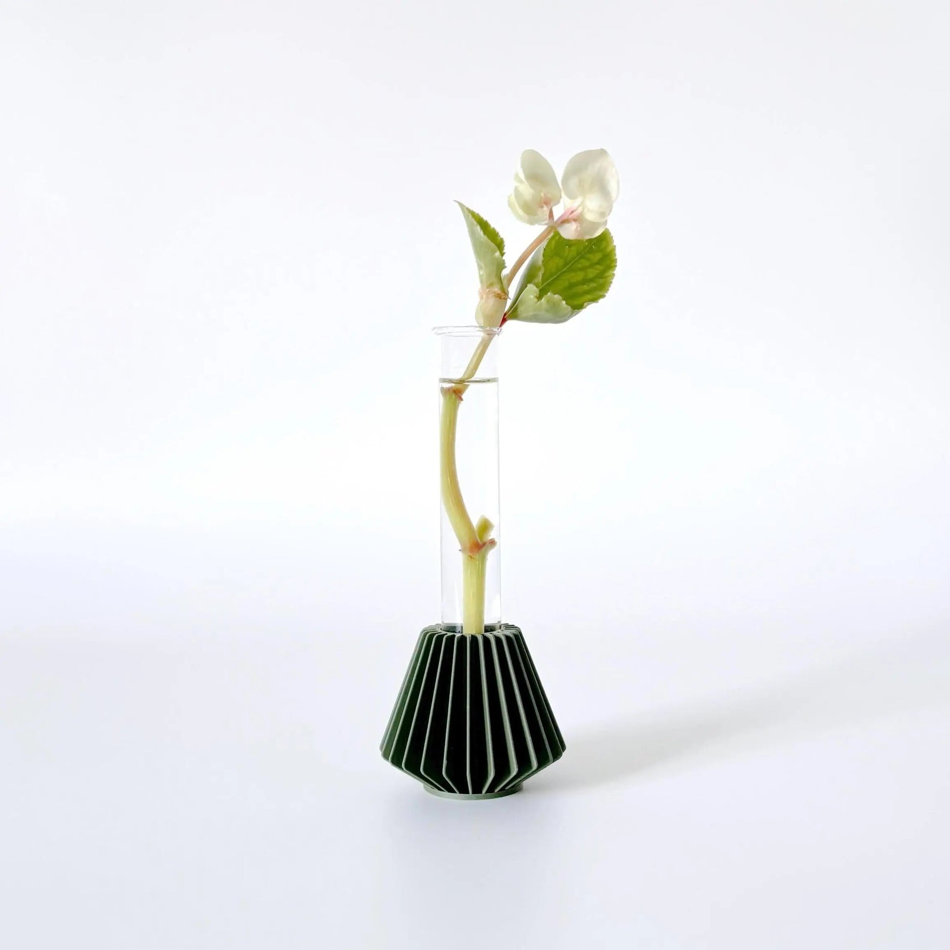 HANOK Mini Propagation Station
