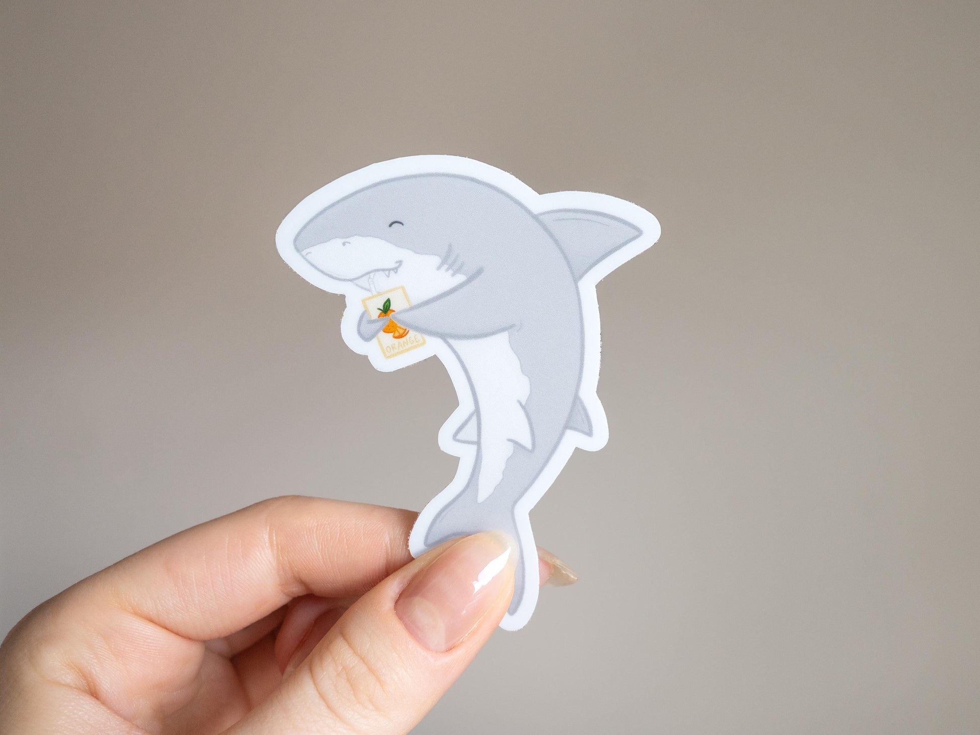 B GRADE* Cute Shark Sticker | Animal Sticker | Shark Lover Gift | Ocean Sticker