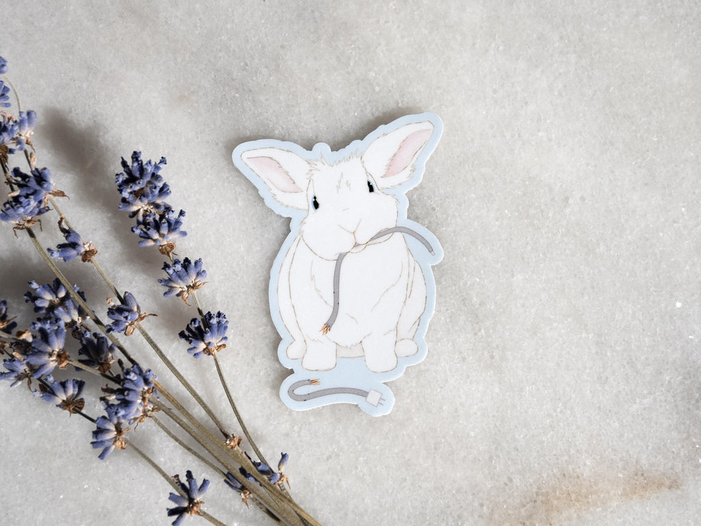 Cute Bunny Sticker | Gift for Bunny Lovers | Funny Bunny Art | Spicy Hay Bunny