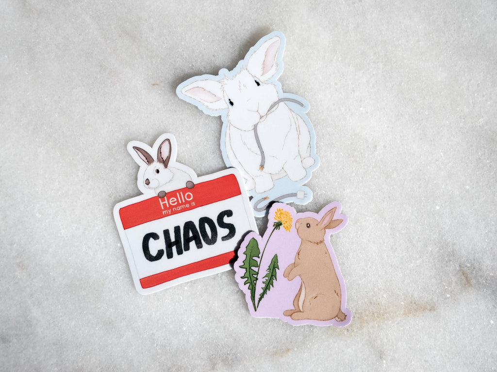 Cute Bunny Sticker Bundle | Rabbit Stickers | Gift for Bunny Lovers