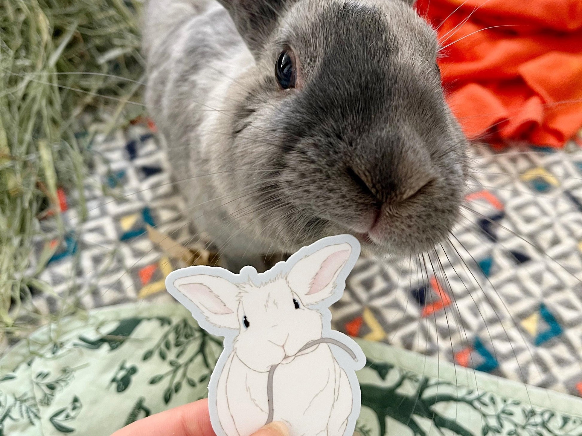 Cute Bunny Sticker | Gift for Bunny Lovers | Funny Bunny Art | Spicy Hay Bunny