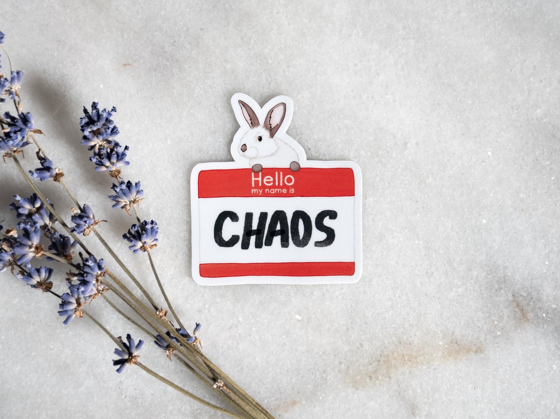Cute Bunny Sticker | Chaos Bunny | Gift for Bunny Lovers | Funny Rabbit Laptop Sticker