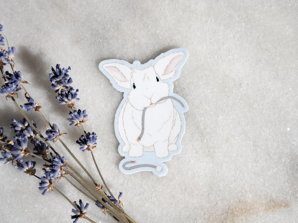 Cute Bunny Sticker Bundle | Four Rabbit Stickers | Gift for Bunny Lovers