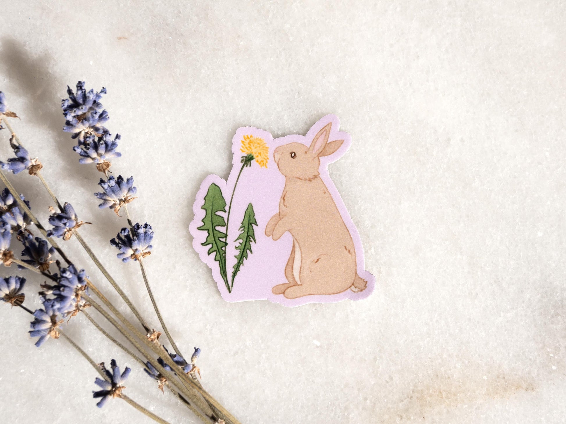 Lot d'autocollants lapins mignons | Quatre autocollants lapins | Cadeau pour les amoureux des lapins