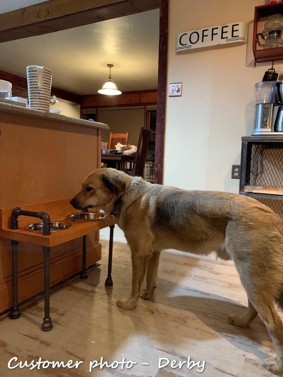 LA BÊTE - Support de gamelle surélevé de style industriel pour chien - La bête - Personnalisation gratuite incluse