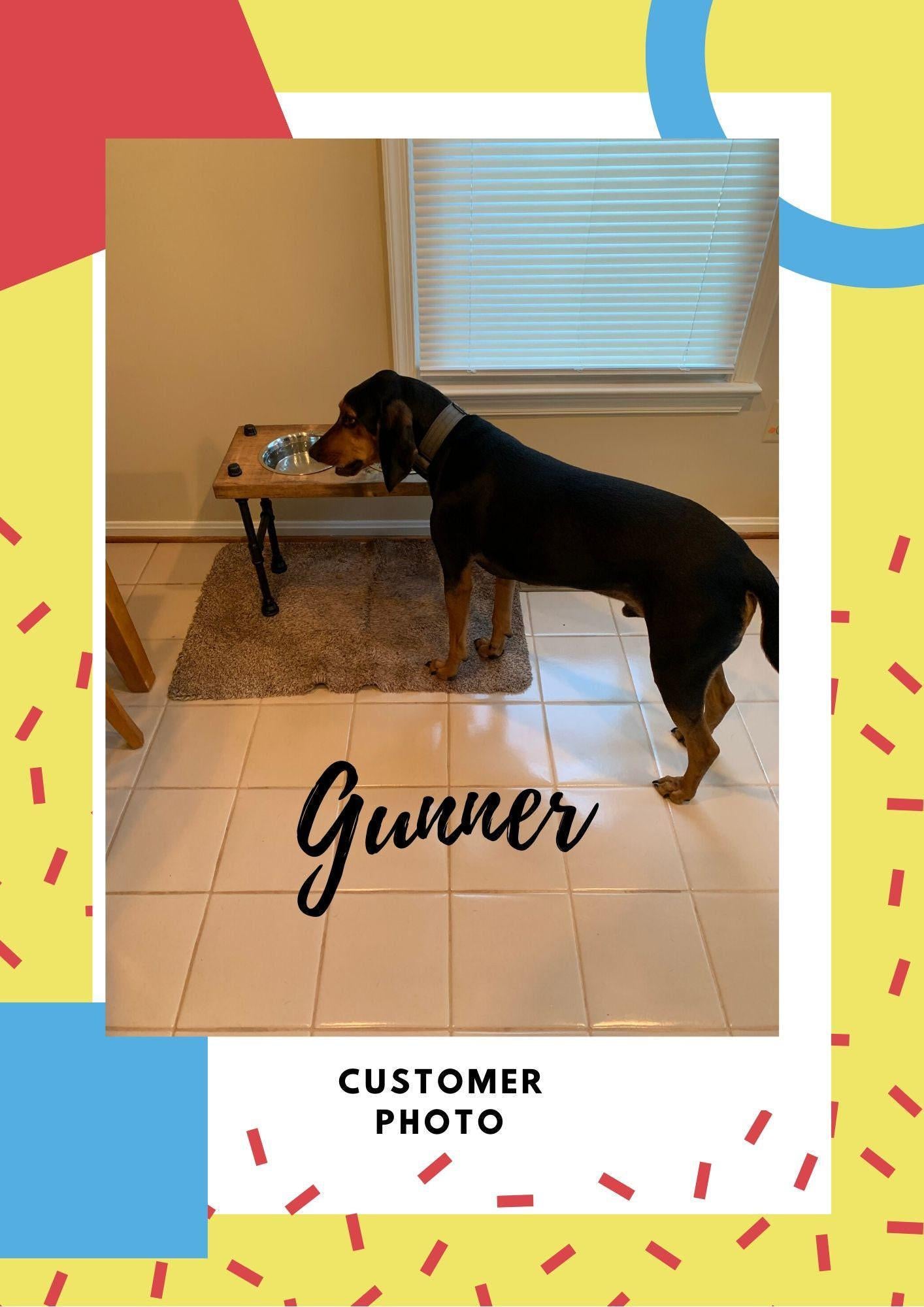 Support de gamelle surélevé pour chien de très grande taille - Support de gamelle de style industriel | Mangeoire pour chien de style steampunk - Personnalisation gratuite incluse