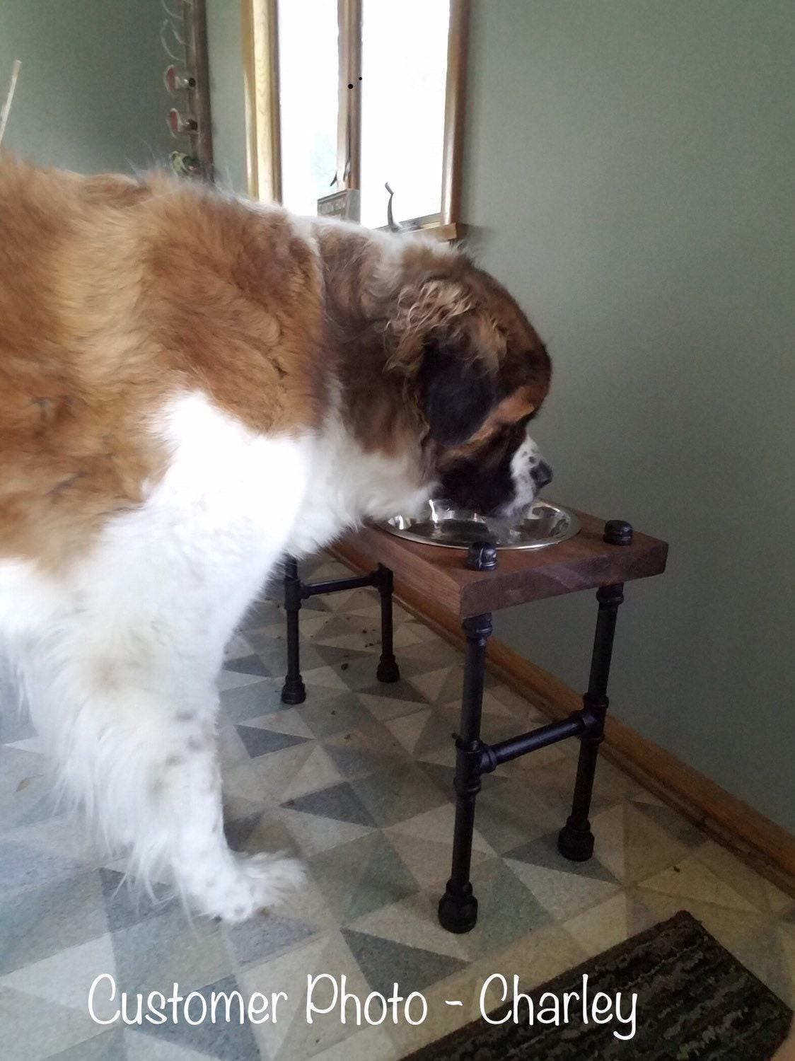 Support de gamelle surélevé pour chien de très grande taille - Support de gamelle de style industriel | Mangeoire pour chien de style steampunk - Personnalisation gratuite incluse