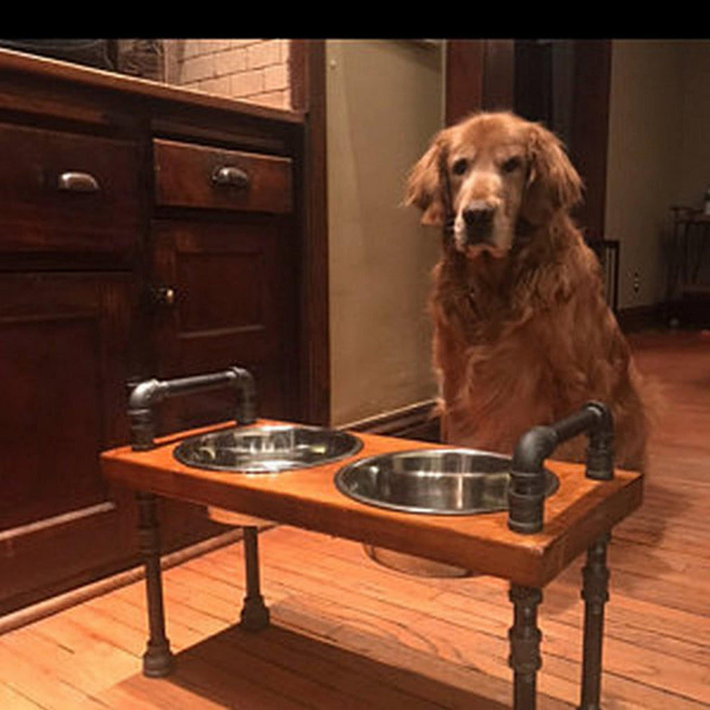 THE BEAST - Industrial style Tall Raised Dog bowl stand - The beast-Free Personalization Included