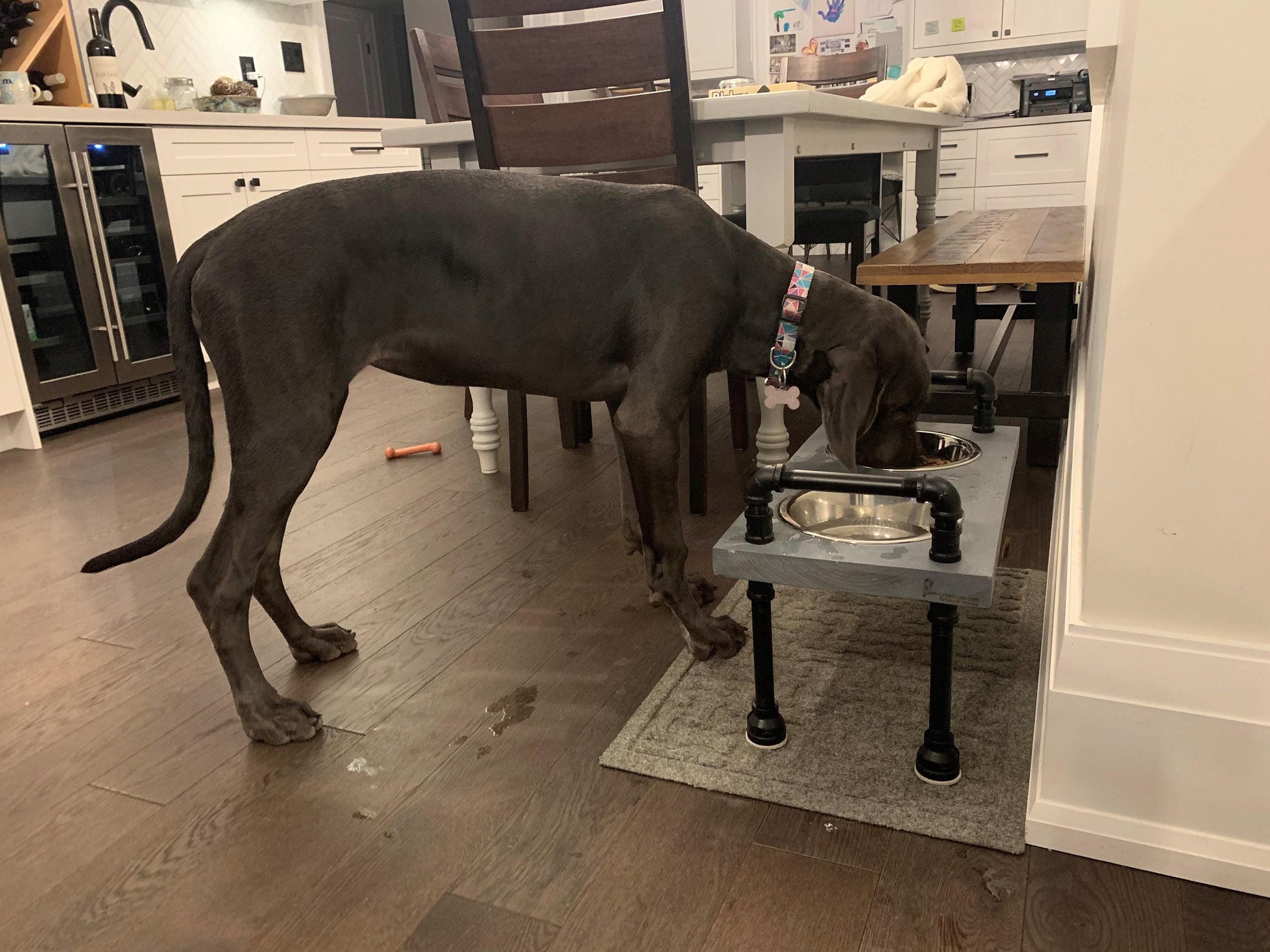 LA BÊTE - Support de gamelle surélevé de style industriel pour chien - La bête - Personnalisation gratuite incluse