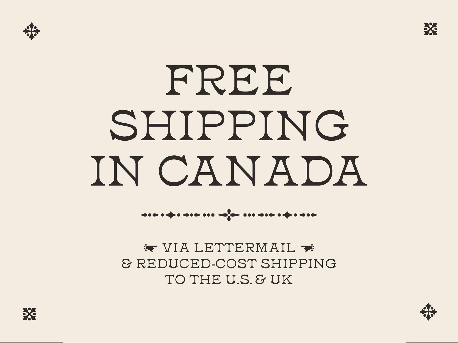 Cute Shark Sticker B GRADE* | Animal Sticker | Shark Lover Gift | Ocean Sticker | Shark Week