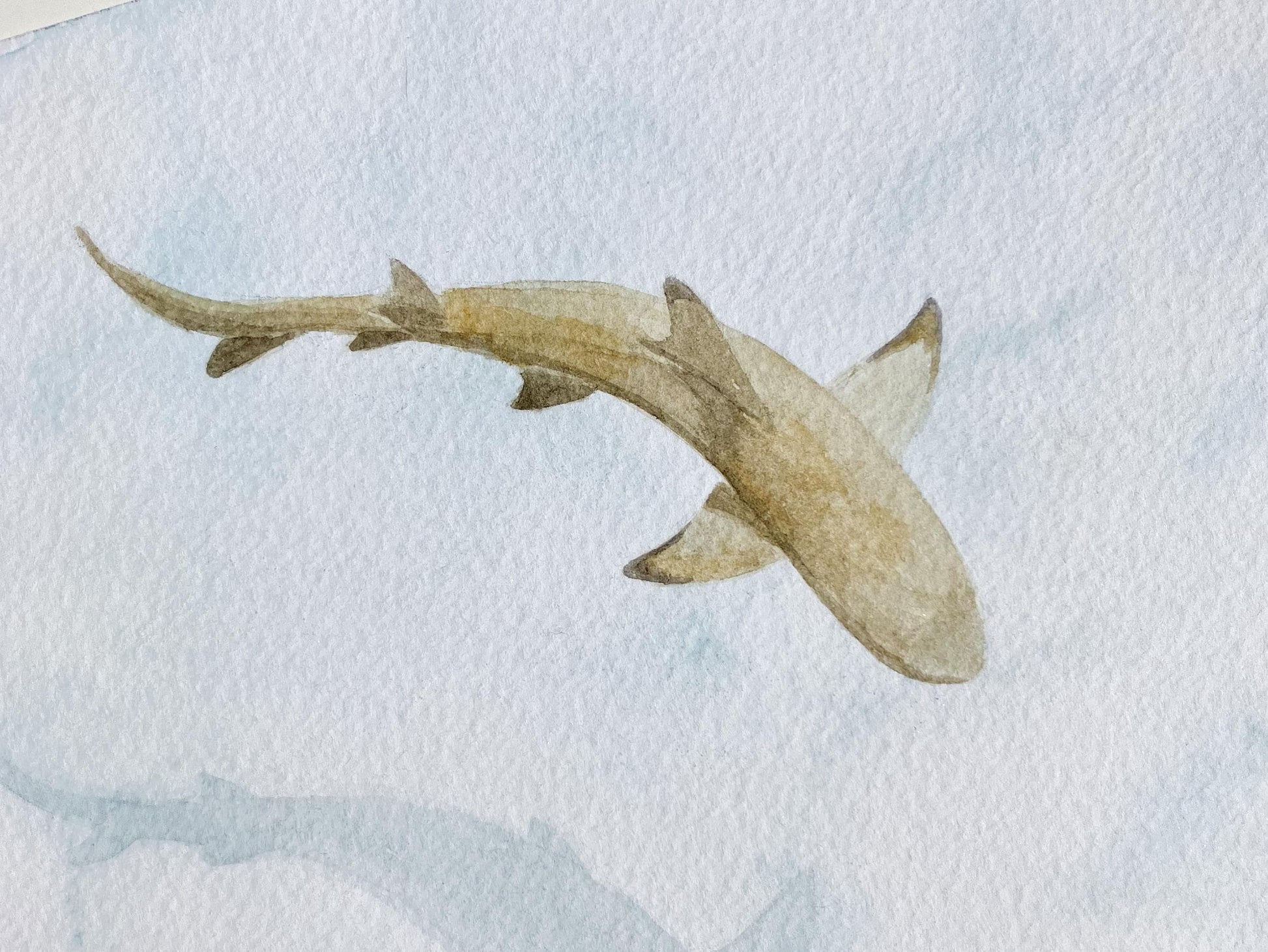 Shark Painting | Watercolour Art | Ocean Painting | One of a Kind