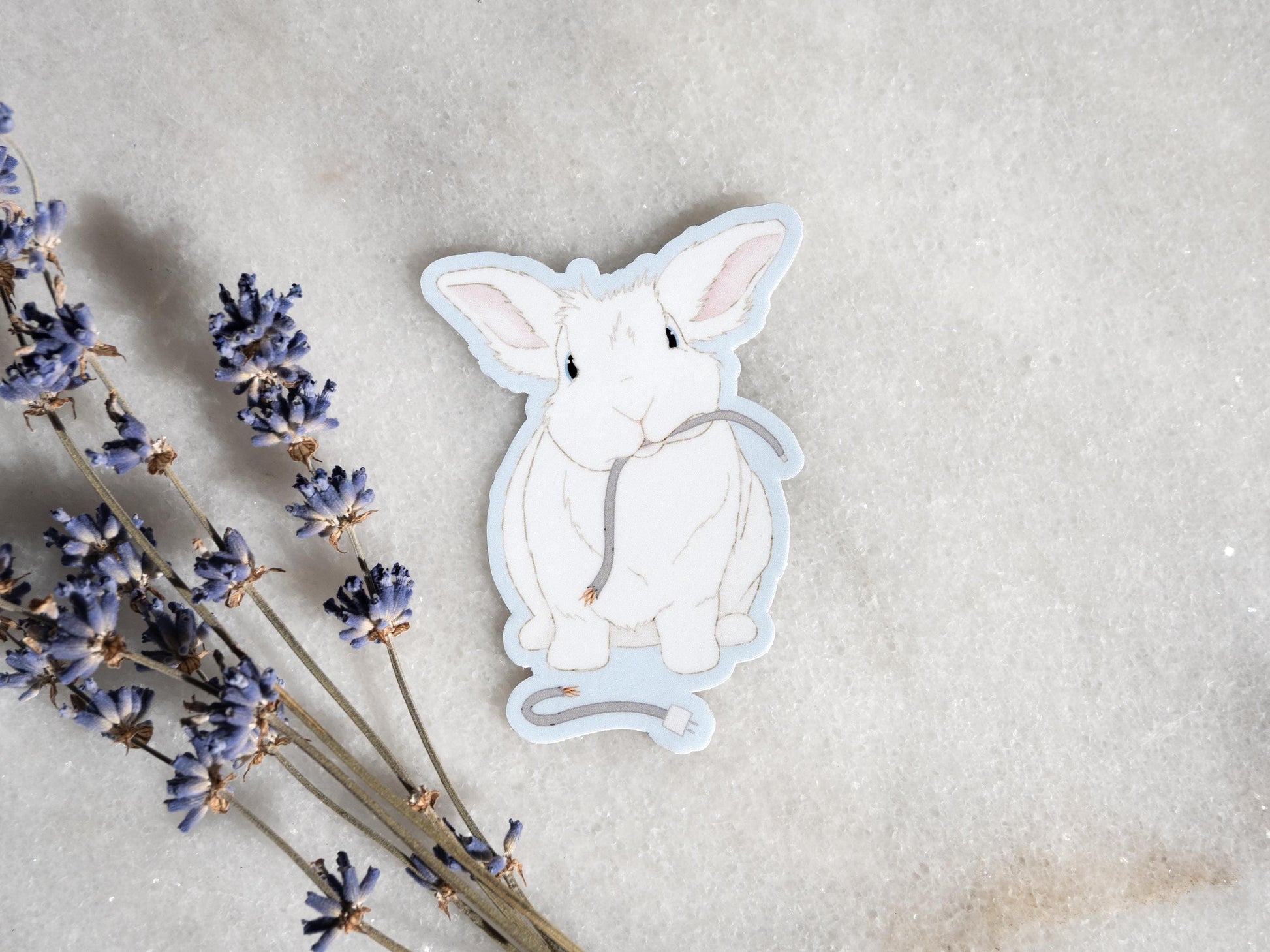 Autocollant lapin mignon | Cadeau pour les amoureux des lapins | Illustration amusante | Lapin épicé