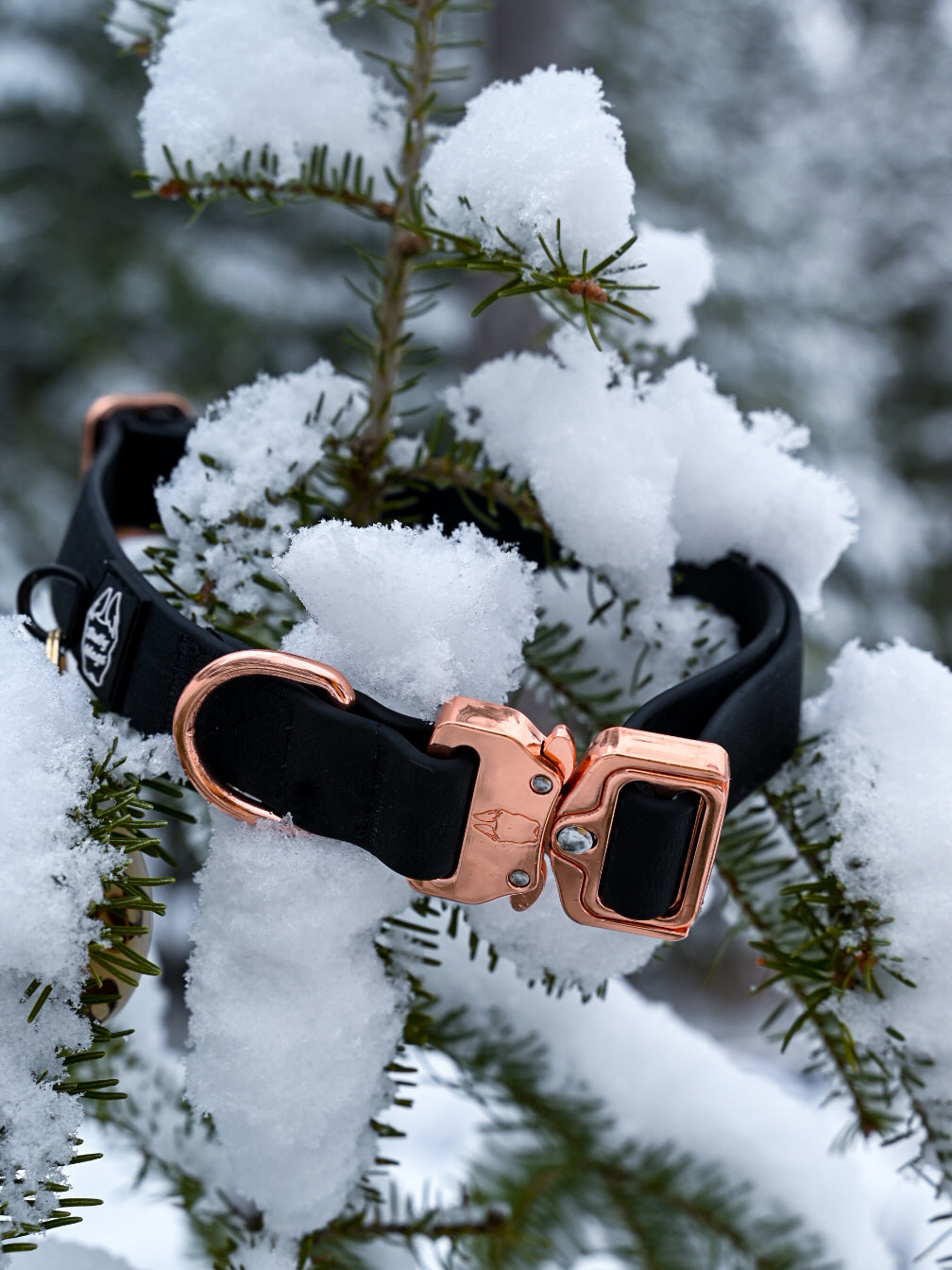 Collier pour chien en PVC imperméable de 1 pouce