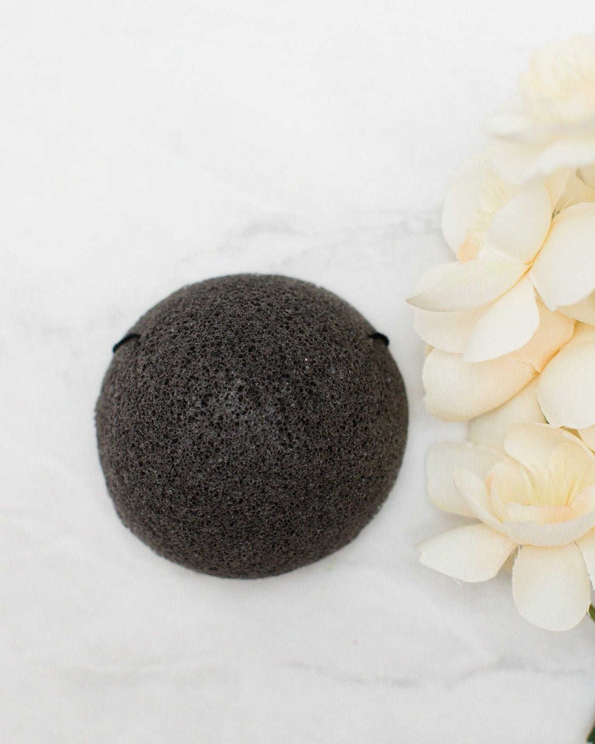 Konjac