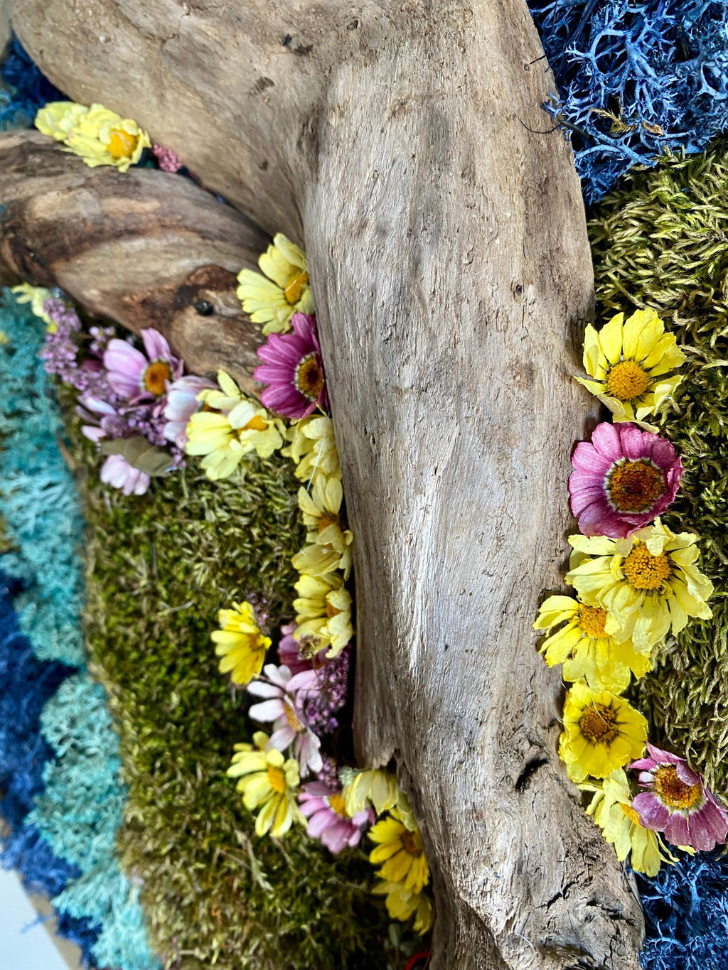 Moss Art : Décoration murale ronde en bois de 40 cm avec bois flotté et marguerites séchées