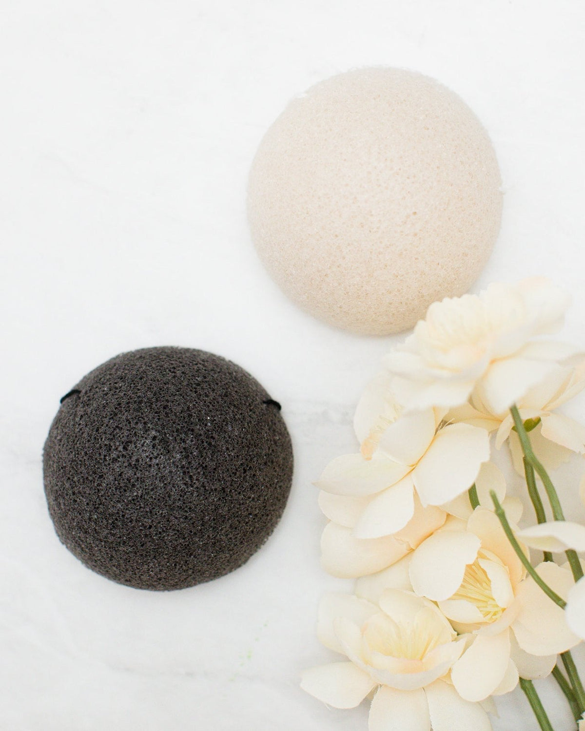Konjac