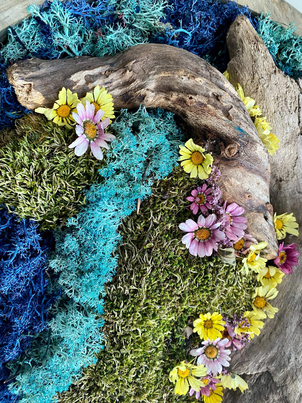 Moss Art : Décoration murale ronde en bois de 40 cm avec bois flotté et marguerites séchées