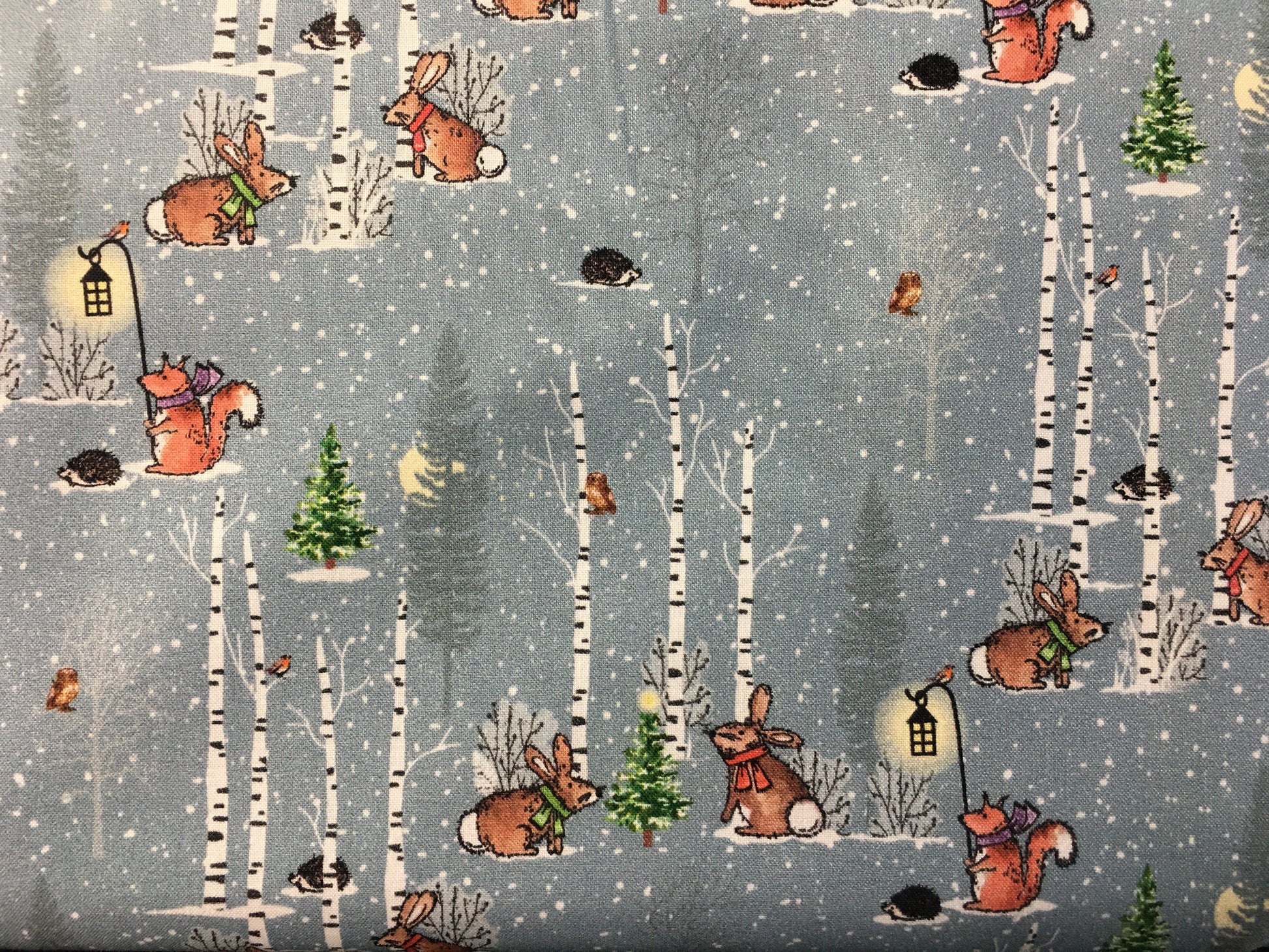 Lune d'hiver de Susan Wheeler - Gris clair