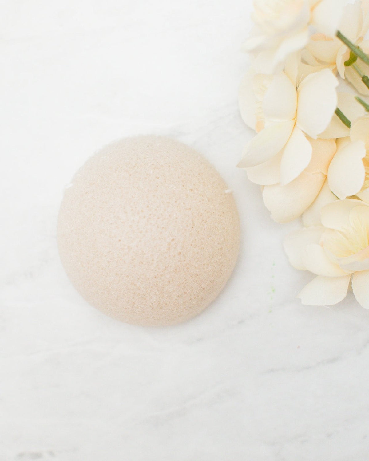 Konjac