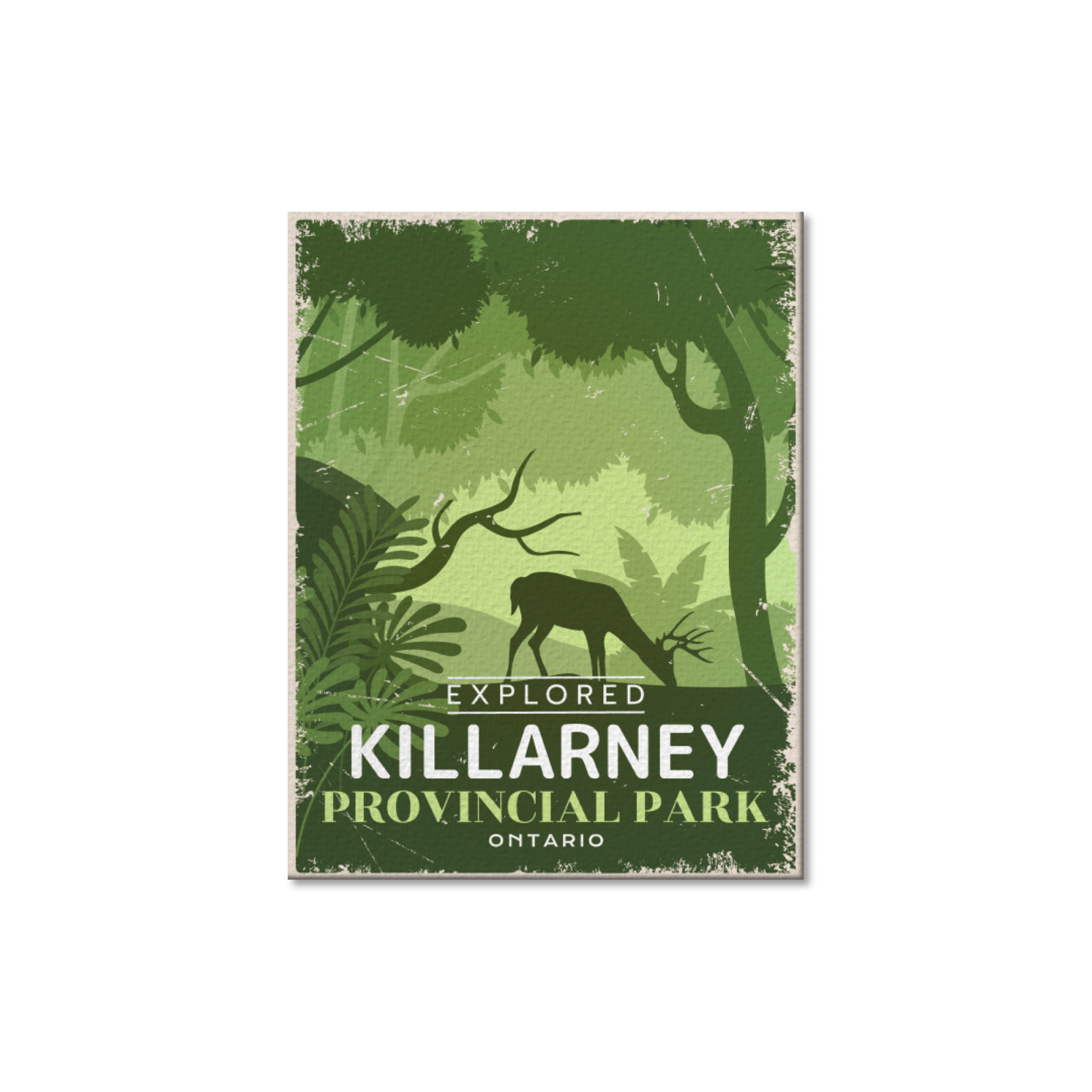 Killarney Ontario Provincial Park Postcard
