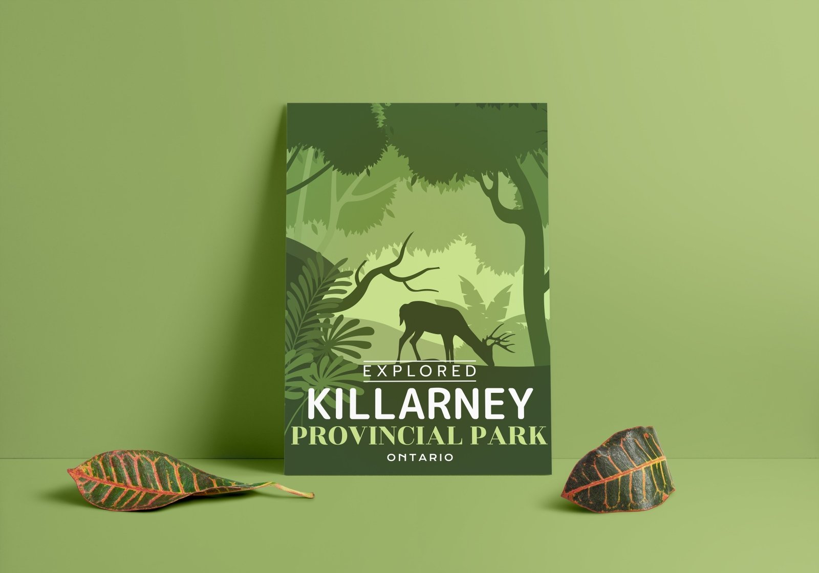 Affiche « Explorée » du parc provincial de Killarney