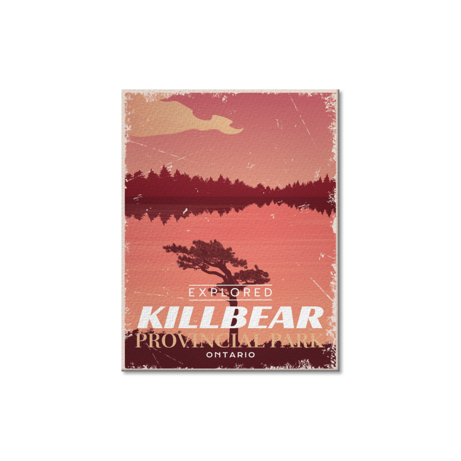 Killbear Ontario Provincial Park Postcard