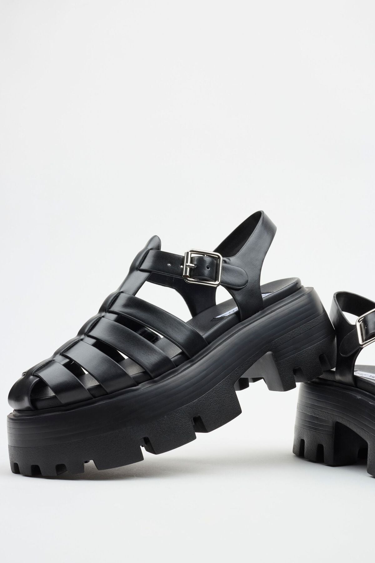 STEVE MADDEN Monti