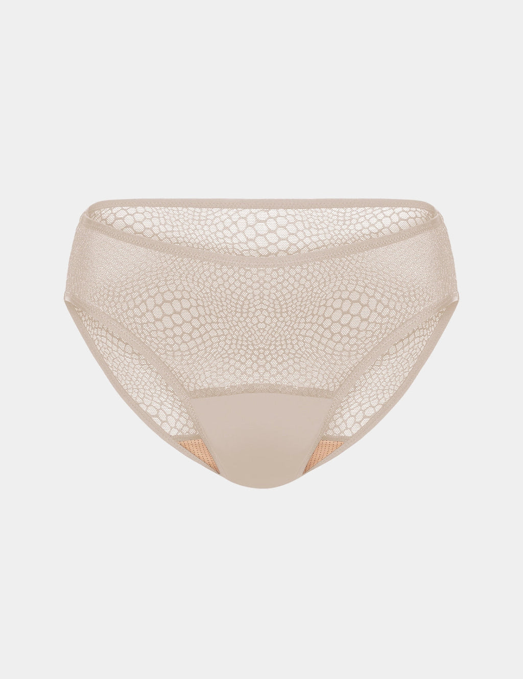 Essential Gossamer Lace Bikini