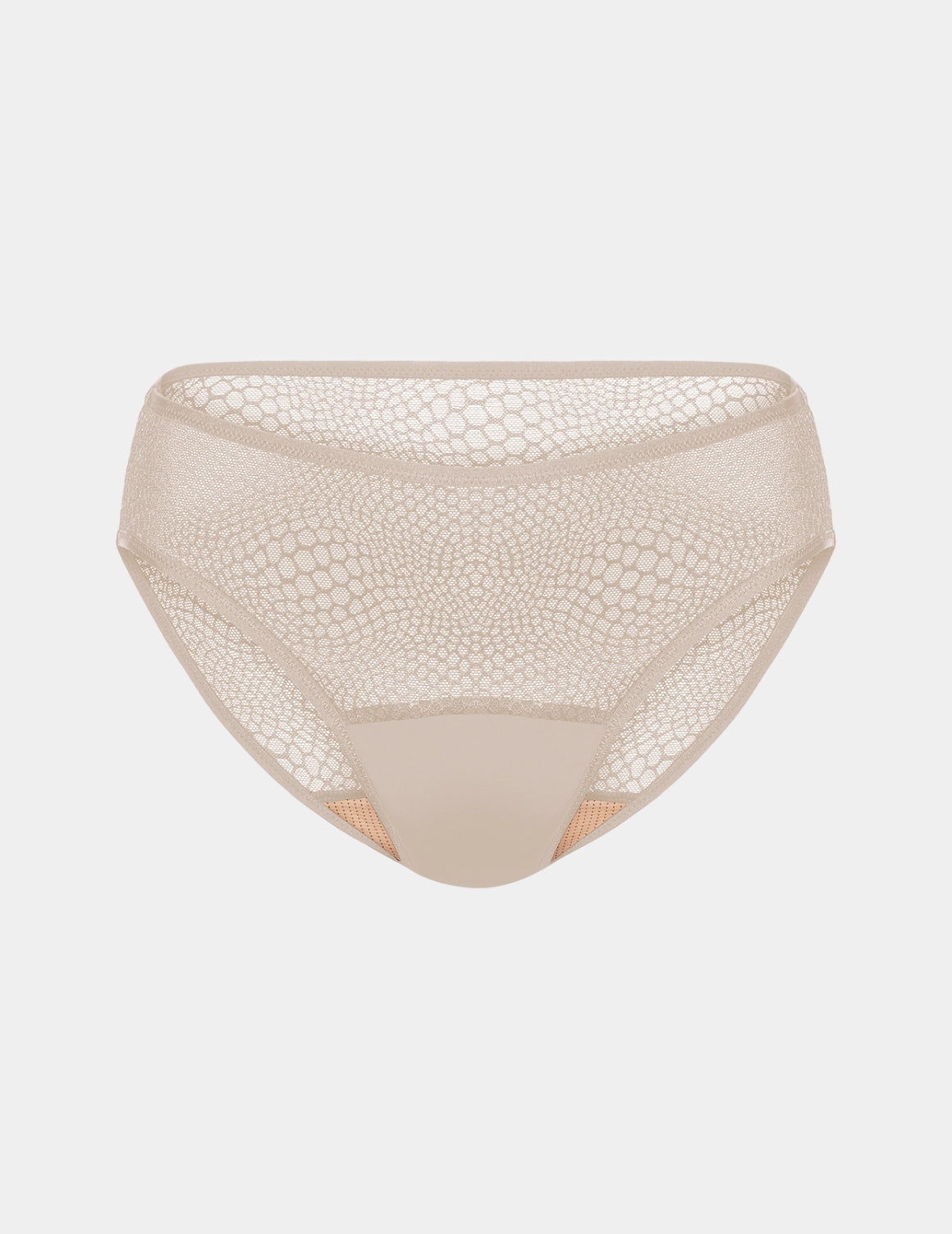 Essential Gossamer Lace Bikini