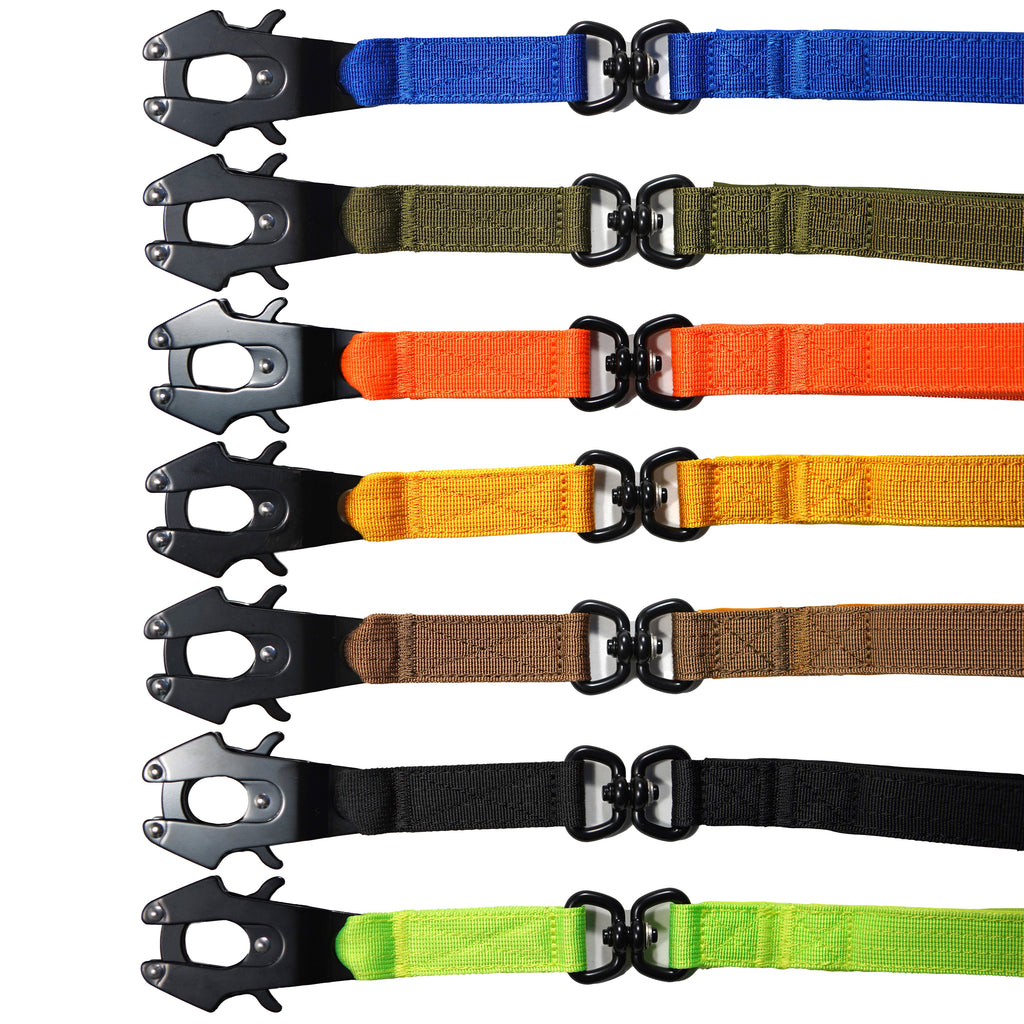 Ensemble laisse et collier pour chien très résistant