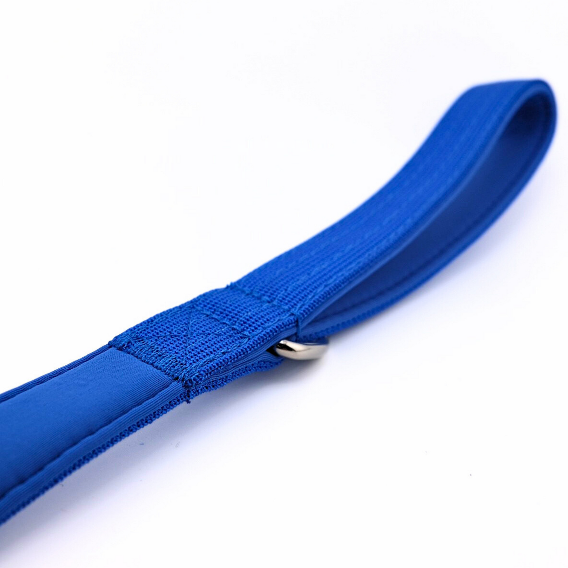 Laisse pour chien robuste