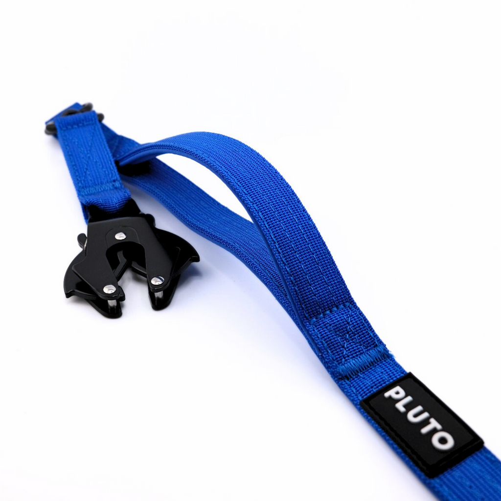 Laisse pour chien robuste