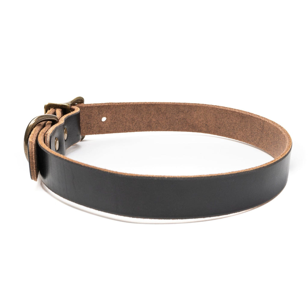 Leather Dog Collar