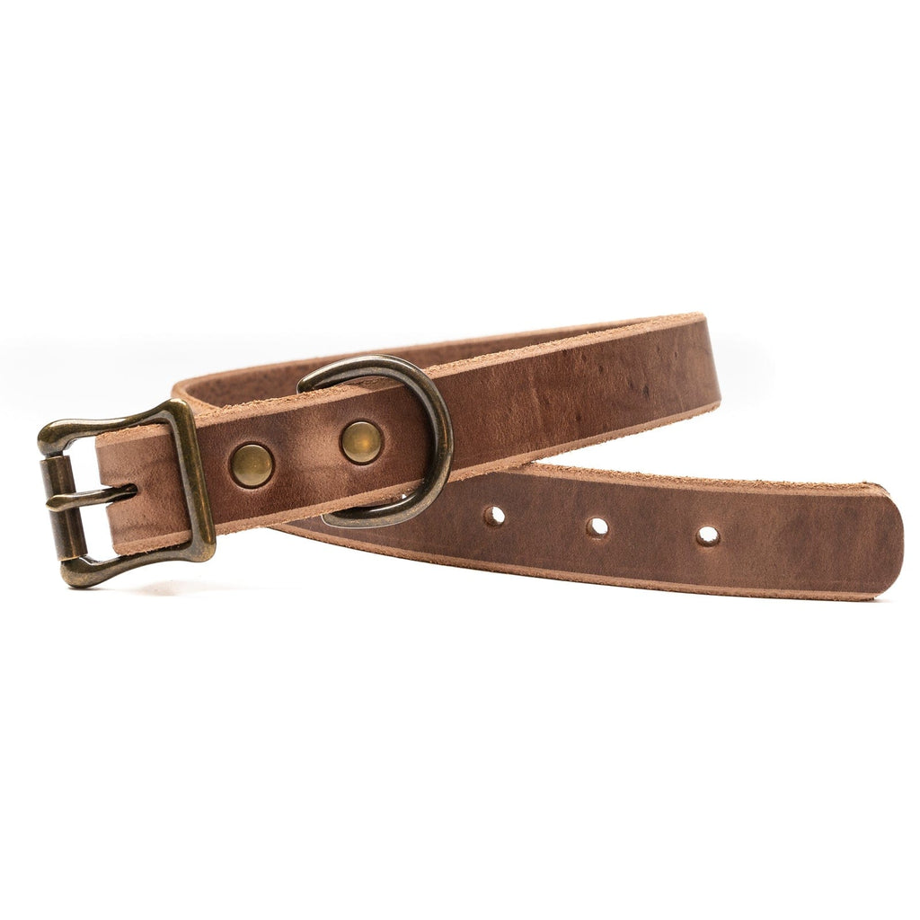 Leather Dog Collar