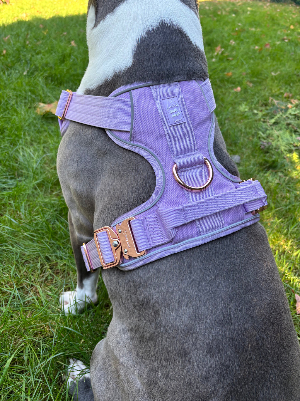 Harnais robuste pour usage quotidien - Lilas
