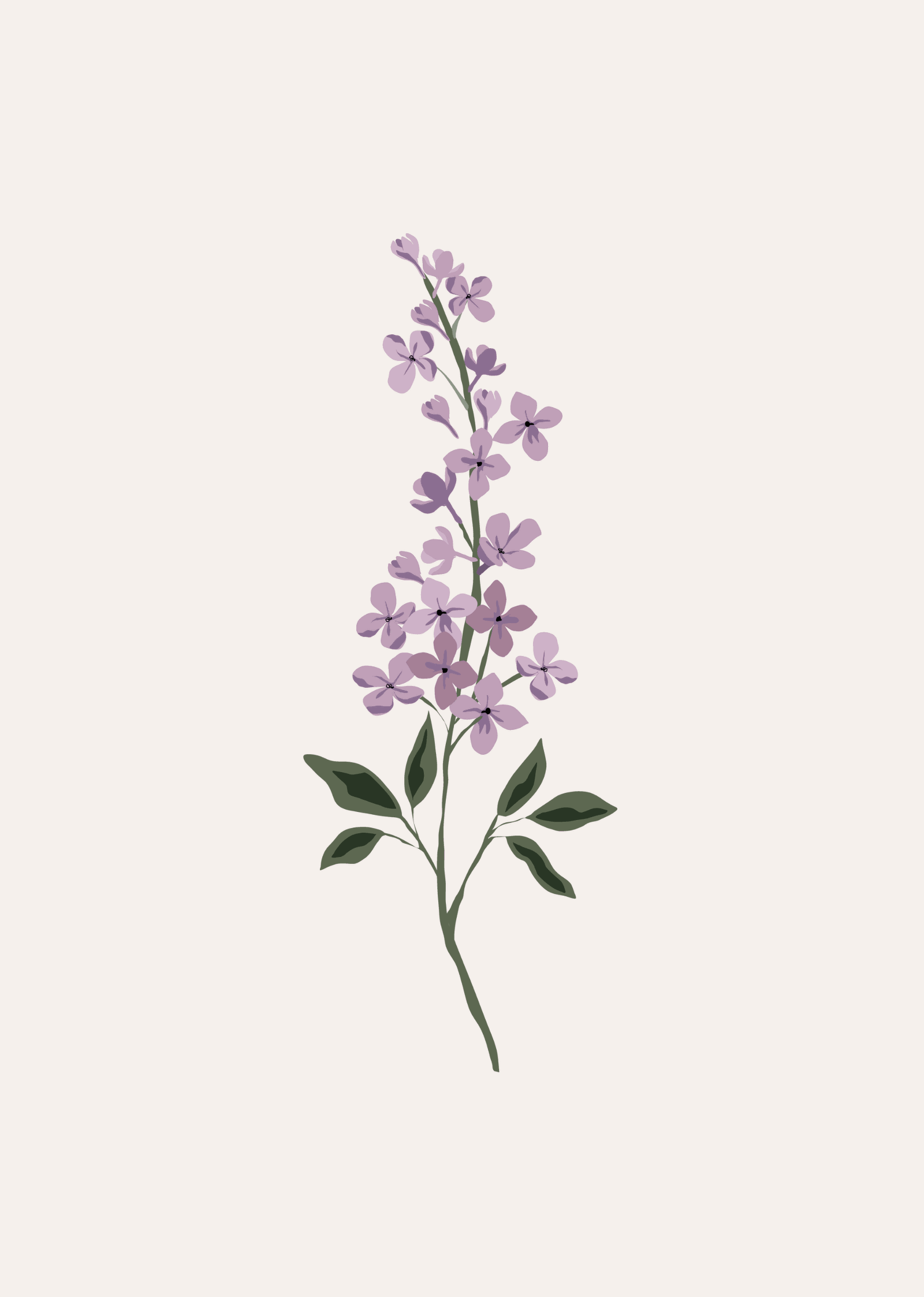 Lilac Flower Art Print