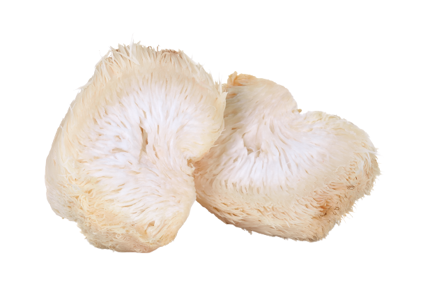 Organic Lion's Mane Mushroom Powder