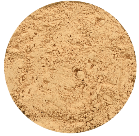 Organic Lion's Mane Mushroom Powder