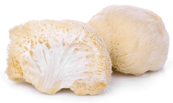 Ecogenya Gourmet Lion's Mane Mushroom Powder – Organic Fruiting Body Extract, 35% Beta-Glucans