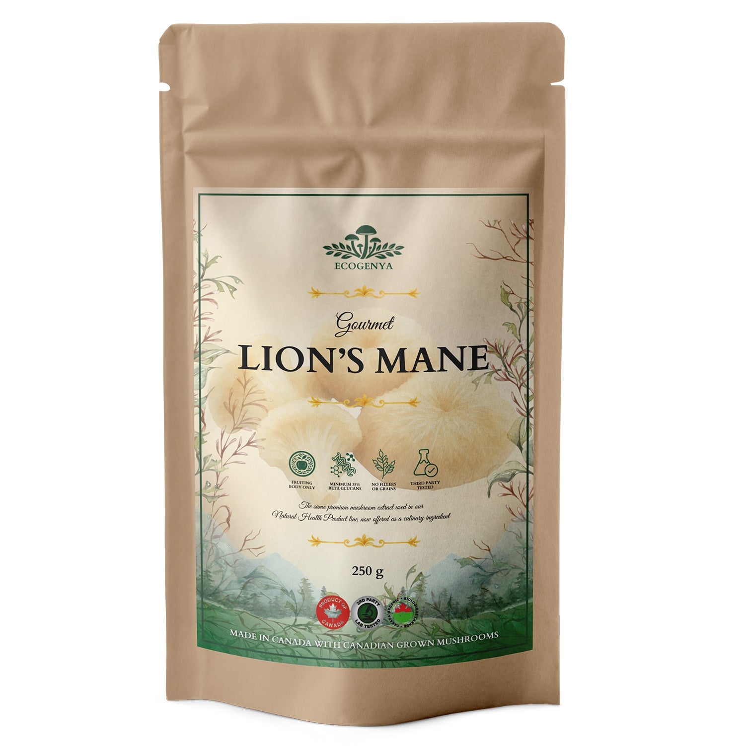 Ecogenya Gourmet Lion's Mane Mushroom Powder – Organic Fruiting Body Extract, 35% Beta-Glucans