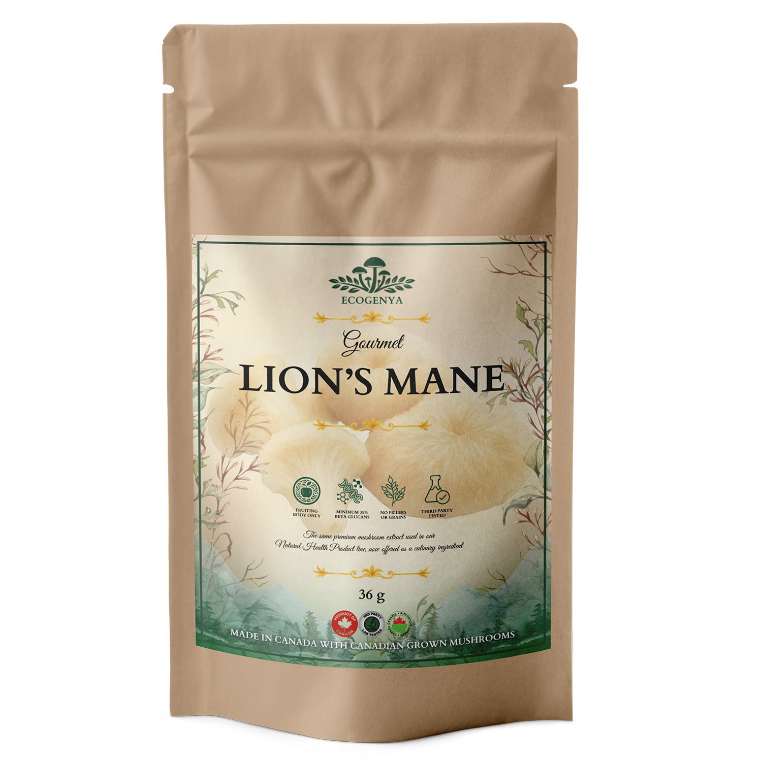 Ecogenya Gourmet Lion's Mane Mushroom Powder – Organic Fruiting Body Extract, 35% Beta-Glucans