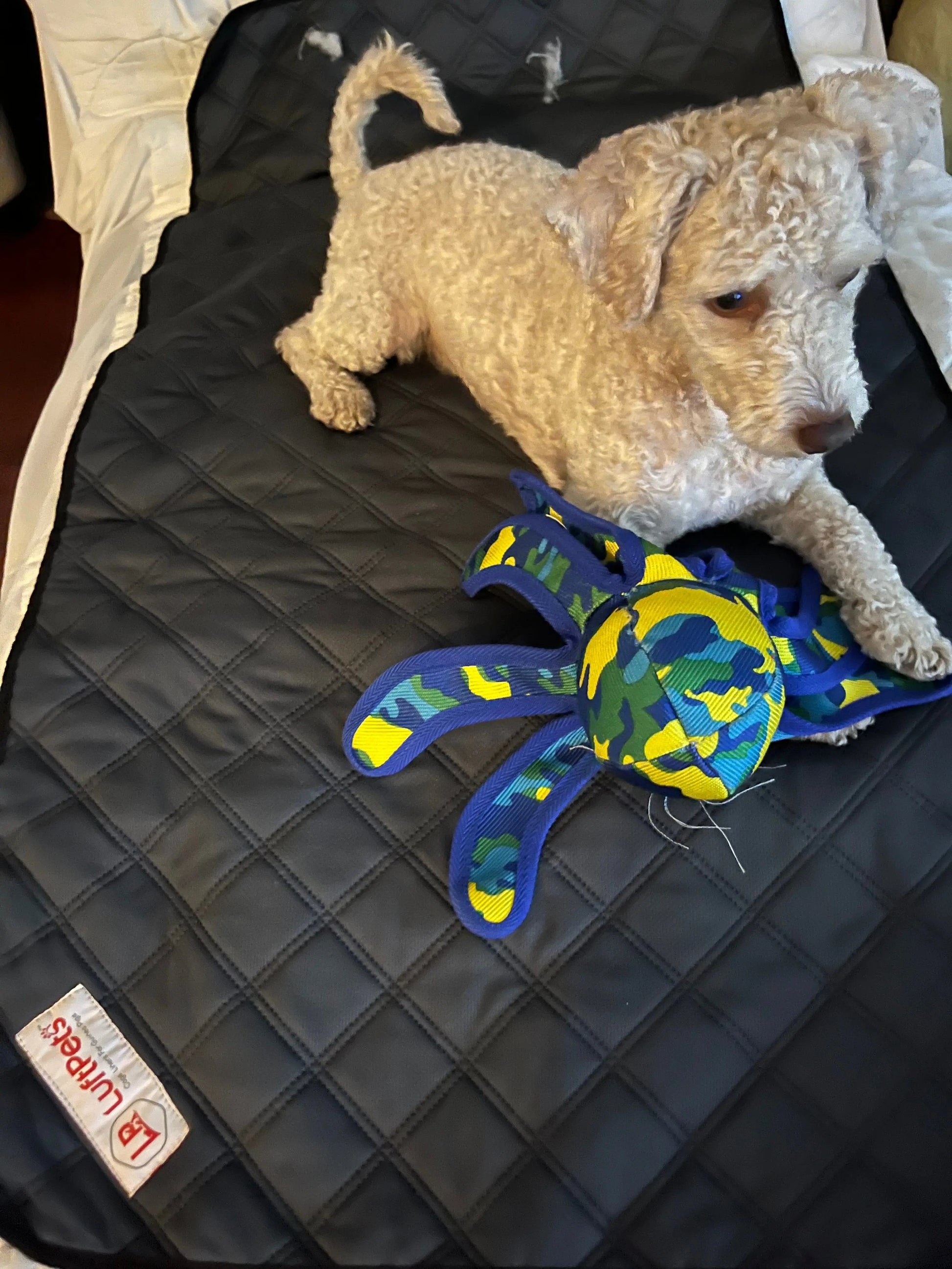 Parure de lit polaire 5 pièces pour cochon d'Inde et lapin – Parfaite pour chiens et chats