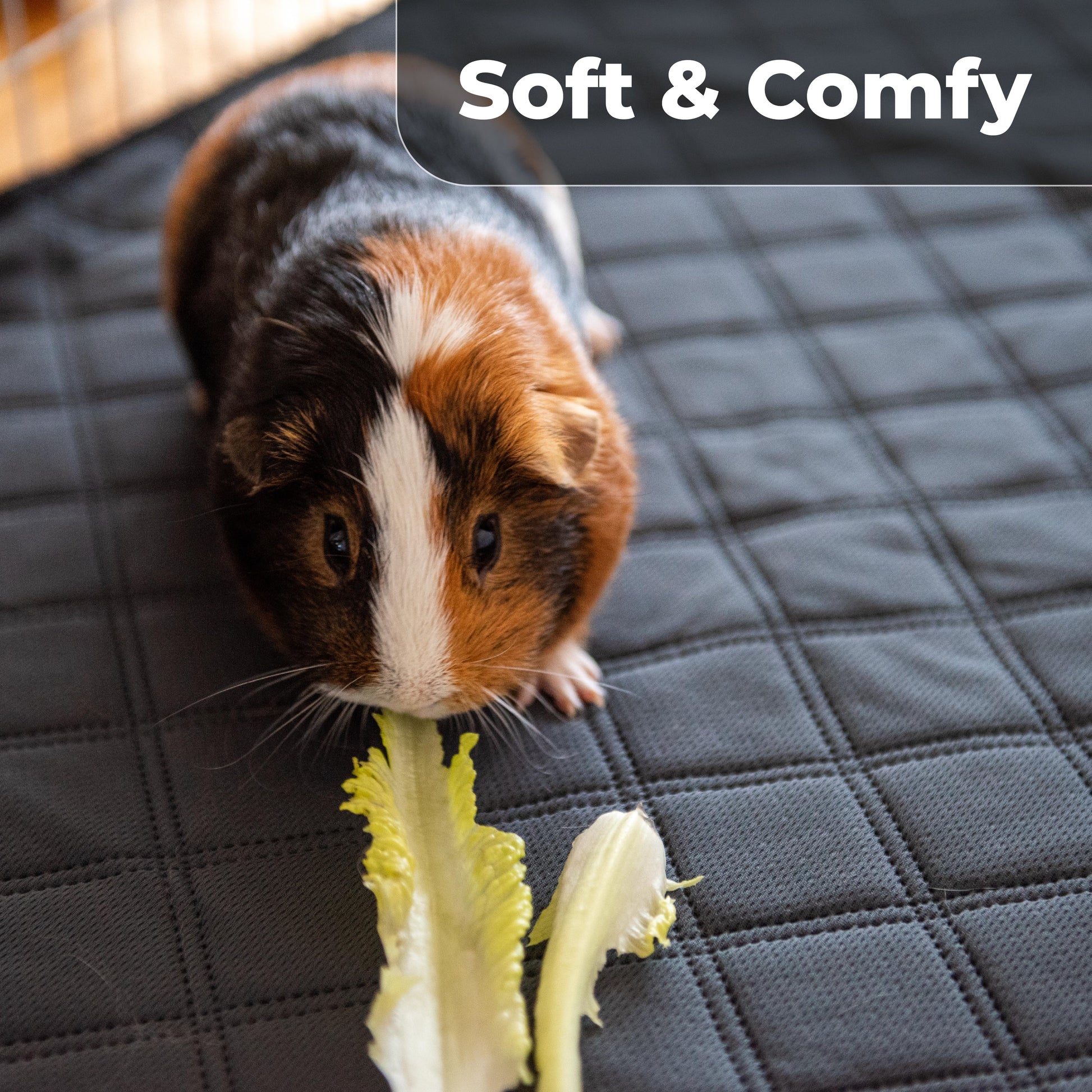 Revêtements de cage LuftPets Original pour lapins et cochons d'Inde, pour cages MidWest