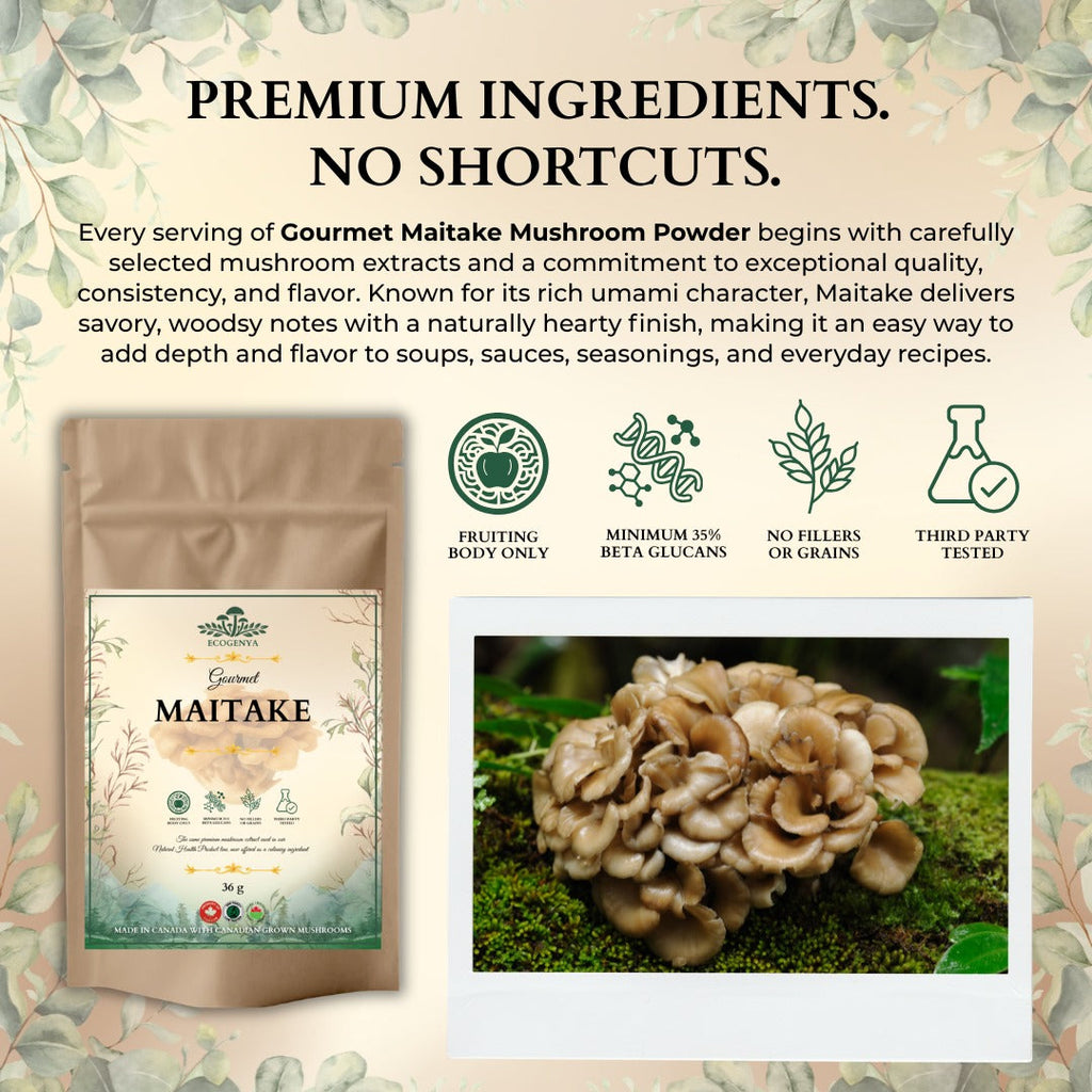 Ecogenya Gourmet Maitake Mushroom Powder – Organic Fruiting Body Extract for Broths & Soups