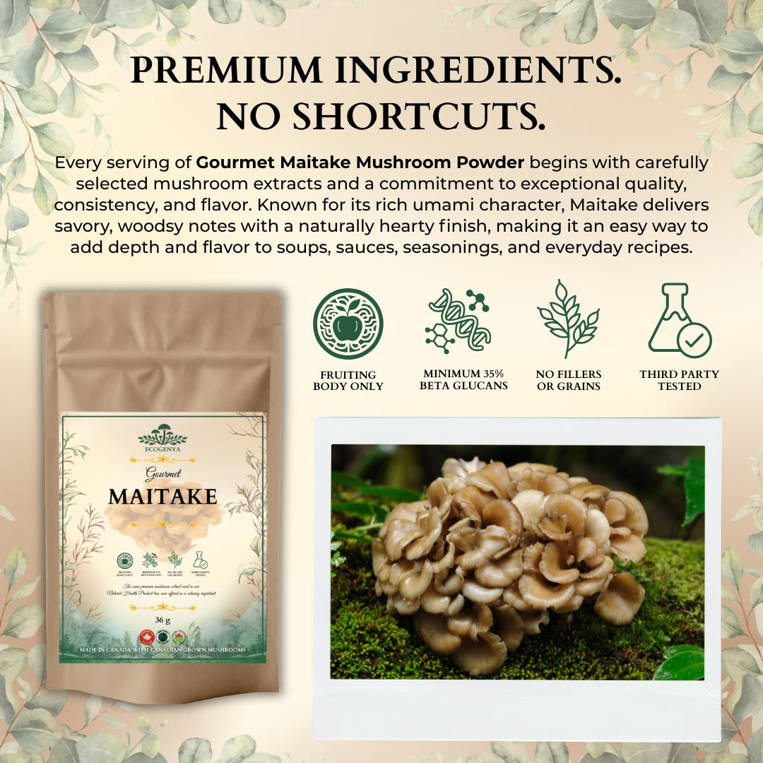 Ecogenya Gourmet Maitake Mushroom Powder – Organic Fruiting Body Extract for Broths & Soups
